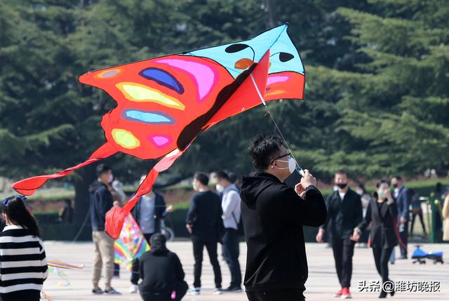 忙趁東風放紙鳶!濰坊市民走到戶外,沐浴春光