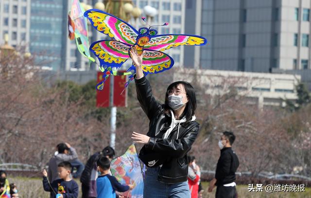忙趁東風放紙鳶!濰坊市民走到戶外,沐浴春光