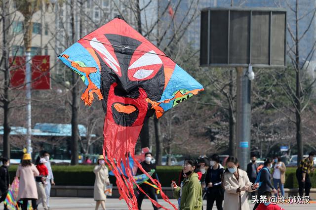 忙趁東風放紙鳶!濰坊市民走到戶外,沐浴春光