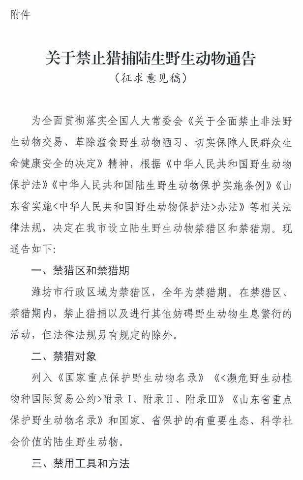 征求意見!濰坊全年禁止獵捕陸生野生動物!