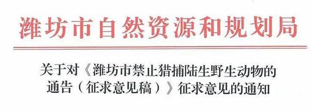征求意見!濰坊全年禁止獵捕陸生野生動物!