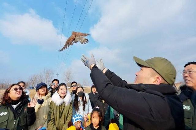 征求意見!濰坊全年禁止獵捕陸生野生動物!
