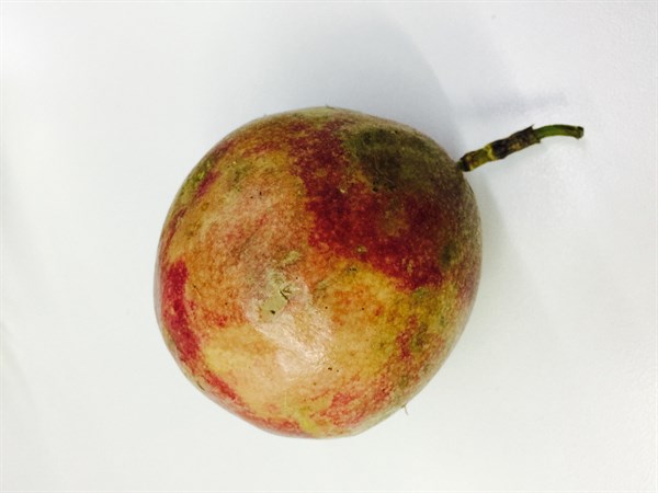 夏天吃百香果最對(duì)味！研究：還能降低胰島素阻抗