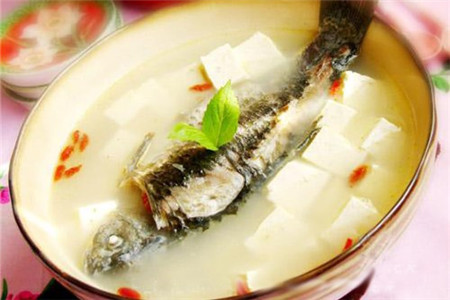 魚類