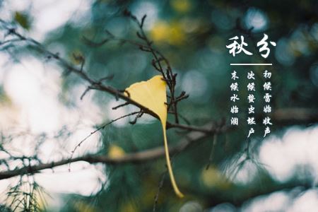 秋分